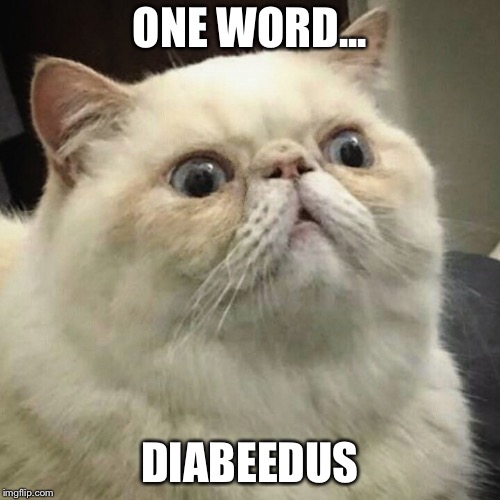 Diabeedus Cat | ONE WORD... DIABEEDUS | image tagged in diabetes,diabeedus,wilford brimley | made w/ Imgflip meme maker