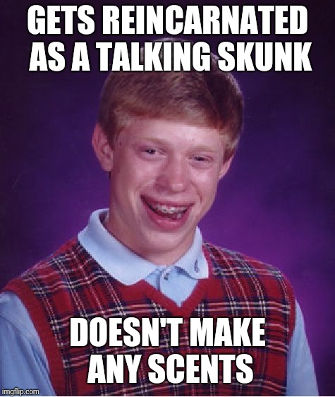 Bad Luck Brian | GETS REINCARNATED AS A TALKING SKUNK; DOESN'T MAKE ANY SCENTS | image tagged in memes,bad luck brian,puns,bad puns | made w/ Imgflip meme maker