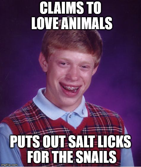 Bad Luck Brian Meme | CLAIMS TO LOVE ANIMALS; PUTS OUT SALT LICKS FOR THE SNAILS | image tagged in memes,bad luck brian | made w/ Imgflip meme maker