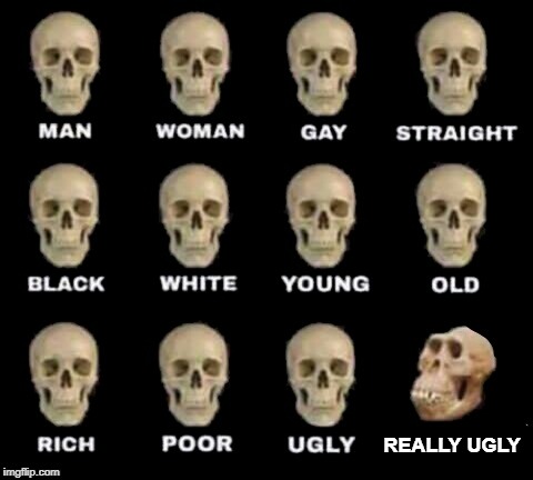 idiot skull | REALLY UGLY | image tagged in idiot skull,memes | made w/ Imgflip meme maker