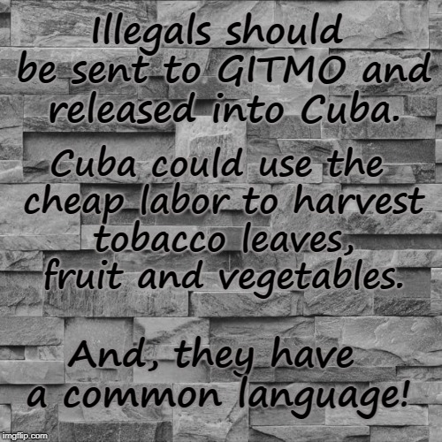 Send Illegals to GITMO | Illegals should be sent to GITMO and released into Cuba. Cuba could use the cheap labor to harvest tobacco leaves, fruit and vegetables. And, they have a common language! | image tagged in illegals,gitmo,aliens | made w/ Imgflip meme maker