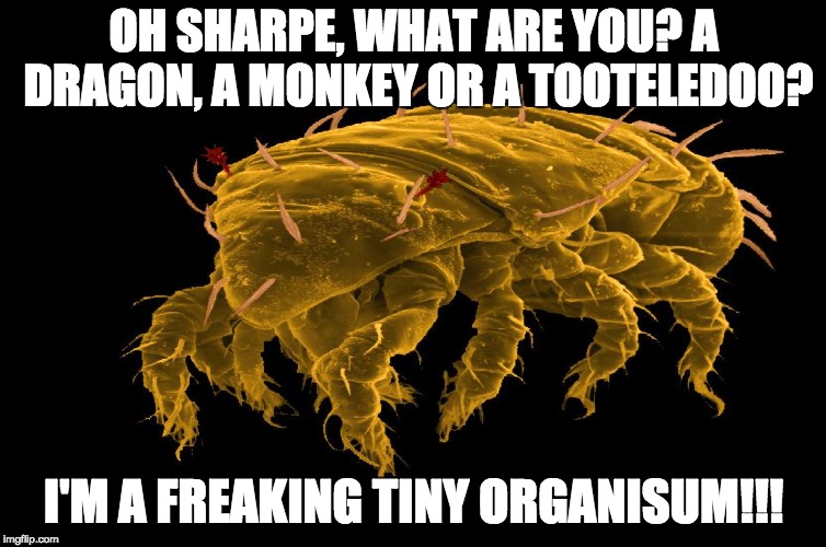 Sharpe | OH SHARPE, WHAT ARE YOU? A DRAGON, A MONKEY OR A TOOTELEDOO? I'M A FREAKING TINY ORGANISUM!!! | image tagged in funny | made w/ Imgflip meme maker