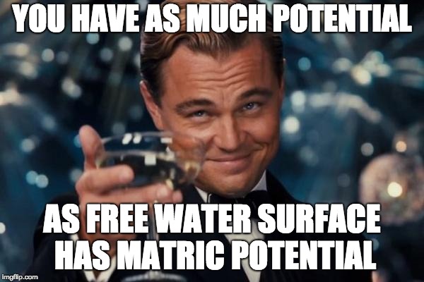 Leonardo Dicaprio Cheers Meme | YOU HAVE AS MUCH POTENTIAL; AS FREE WATER SURFACE HAS MATRIC POTENTIAL | image tagged in memes,leonardo dicaprio cheers | made w/ Imgflip meme maker