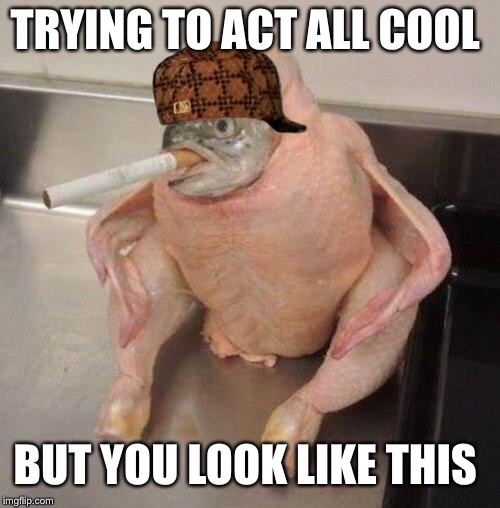 Smoking fish chicken | TRYING TO ACT ALL COOL; BUT YOU LOOK LIKE THIS | image tagged in smoking fish chicken,scumbag | made w/ Imgflip meme maker