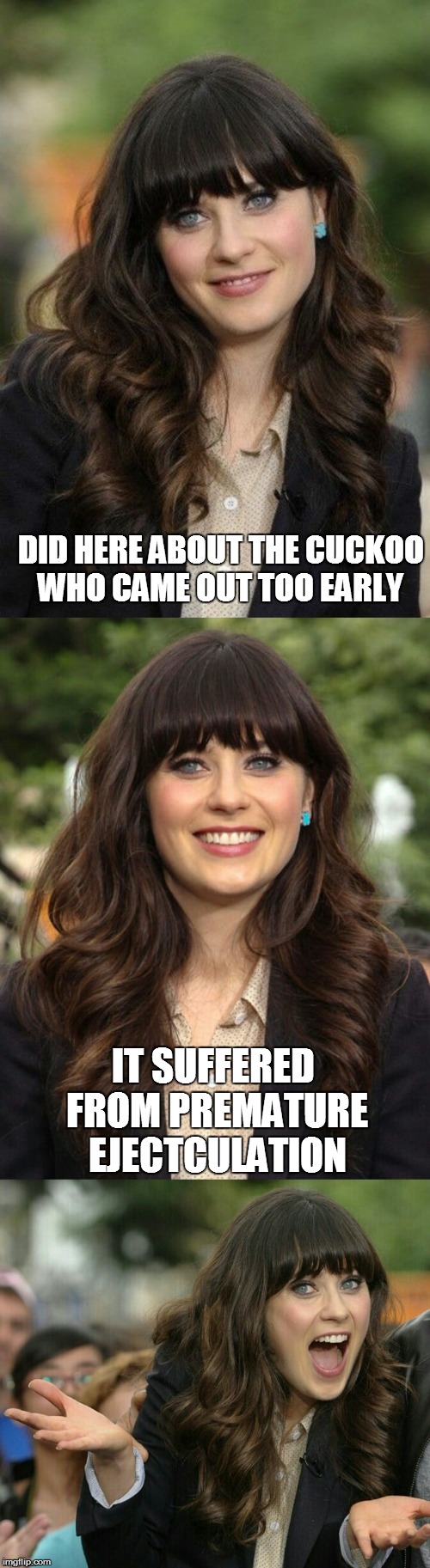 For Chicken week 6-8 april  | DID HERE ABOUT THE CUCKOO WHO CAME OUT TOO EARLY; IT SUFFERED FROM PREMATURE EJECTCULATION | image tagged in zooey deschanel joke template | made w/ Imgflip meme maker