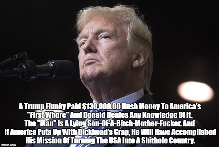 Trump's Lawyer Says He Took Out A Home Equity Loan To Pay $130,000 Hush Money To America's "First Whore" Unbeknownst To Donald  | A Trump Flunky Paid $130,000.00 Hush Money To America's "First W**re" And Donald Denies Any Knowledge Of It. The "Man" Is A Lying Son-Of-A-B | image tagged in deplorable donald,despicable donald,detestable donald,dishonorable donald,dickhead donald,dishonest donald | made w/ Imgflip meme maker