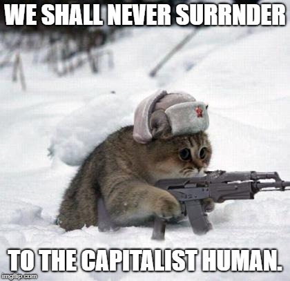 Cute Sad Soviet War Kitten | WE SHALL NEVER SURRNDER; TO THE CAPITALIST HUMAN. | image tagged in cute sad soviet war kitten | made w/ Imgflip meme maker