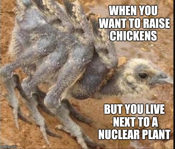 Mmmm, this one will have extra drumsticks! Chicken Week, April 2-8, a JBmemegeek & giveuahint event! | WHEN YOU WANT TO RAISE CHICKENS; BUT YOU LIVE NEXT TO A NUCLEAR PLANT | image tagged in chicken week,jbmemegeek,giveuahint,weird stuff | made w/ Imgflip meme maker