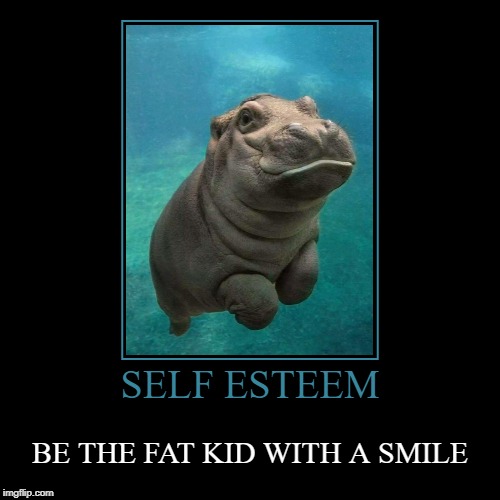 SELF ESTEEM | BE THE FAT KID WITH A SMILE | image tagged in funny,demotivationals | made w/ Imgflip demotivational maker
