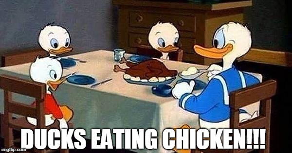Unbelievable!! | DUCKS EATING CHICKEN!!! | image tagged in funny,ducks | made w/ Imgflip meme maker