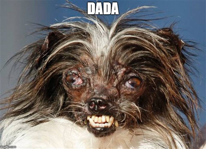 ugly dog | DADA | image tagged in ugly dog | made w/ Imgflip meme maker