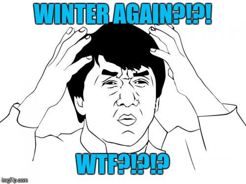 Jackie Chan WTF Meme | WINTER AGAIN?!?! WTF?!?!? | image tagged in memes,jackie chan wtf | made w/ Imgflip meme maker