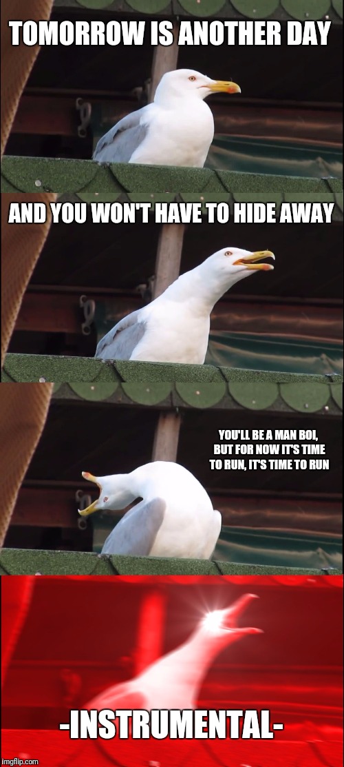 RUN BOI RUN | TOMORROW IS ANOTHER DAY; AND YOU WON'T HAVE TO HIDE AWAY; YOU'LL BE A MAN BOI, BUT FOR NOW IT'S TIME TO RUN, IT'S TIME TO RUN; -INSTRUMENTAL- | image tagged in memes,inhaling seagull | made w/ Imgflip meme maker