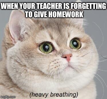 Heavy Breathing Cat | WHEN YOUR TEACHER IS FORGETTING TO GIVE HOMEWORK | image tagged in memes,heavy breathing cat | made w/ Imgflip meme maker