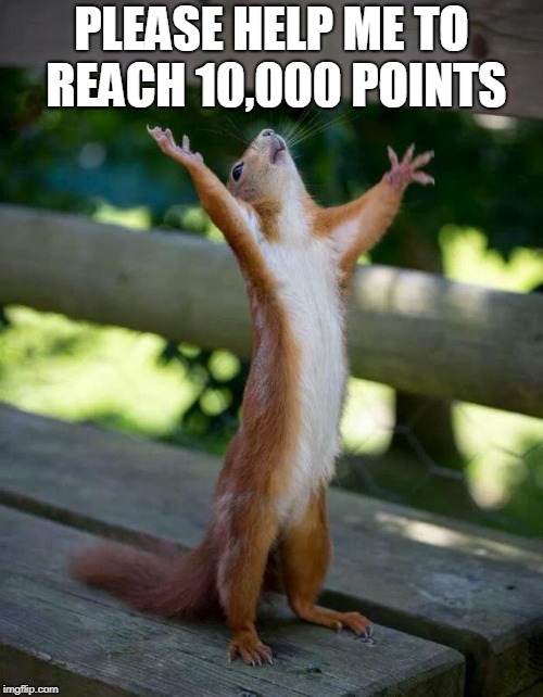 Happy Squirrel | PLEASE HELP ME TO REACH 10,000 POINTS | image tagged in happy squirrel | made w/ Imgflip meme maker