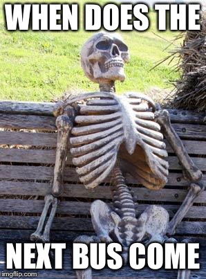 Waiting Skeleton | WHEN DOES THE; NEXT BUS COME | image tagged in memes,waiting skeleton | made w/ Imgflip meme maker