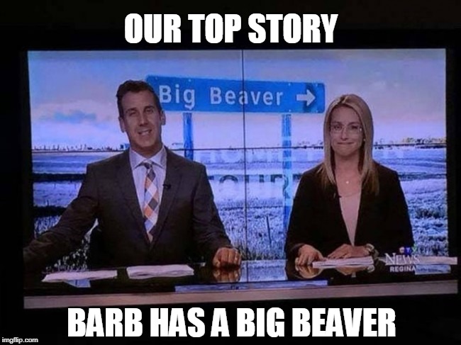 OUR TOP STORY; BARB HAS A BIG BEAVER | image tagged in beaver,vagina,huge | made w/ Imgflip meme maker