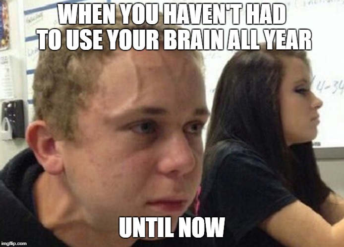 When you haven't.. | WHEN YOU HAVEN'T HAD TO USE YOUR BRAIN ALL YEAR; UNTIL NOW | image tagged in when you haven't | made w/ Imgflip meme maker