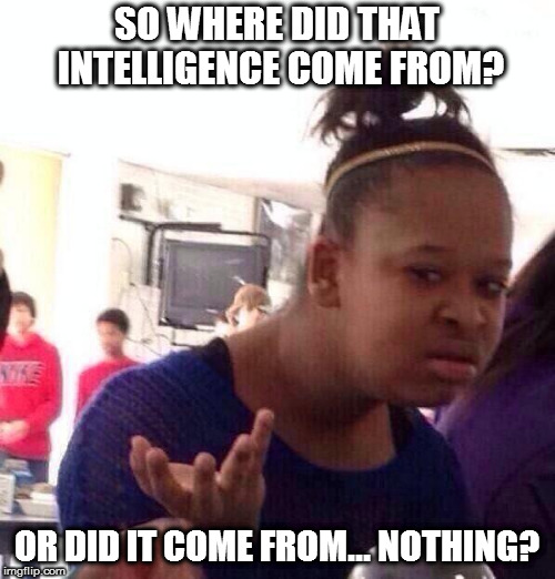 Black Girl Wat Meme | SO WHERE DID THAT INTELLIGENCE COME FROM? OR DID IT COME FROM... NOTHING? | image tagged in memes,black girl wat | made w/ Imgflip meme maker