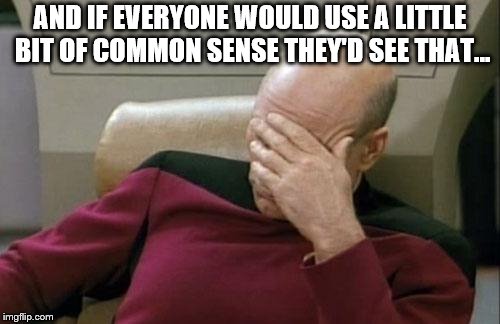 Captain Picard Facepalm Meme | AND IF EVERYONE WOULD USE A LITTLE BIT OF COMMON SENSE THEY'D SEE THAT... | image tagged in memes,captain picard facepalm | made w/ Imgflip meme maker