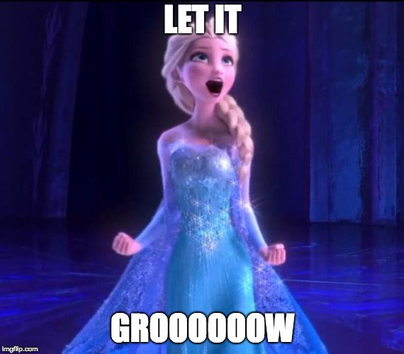 ELSA | LET IT; GROOOOOOW | image tagged in elsa | made w/ Imgflip meme maker