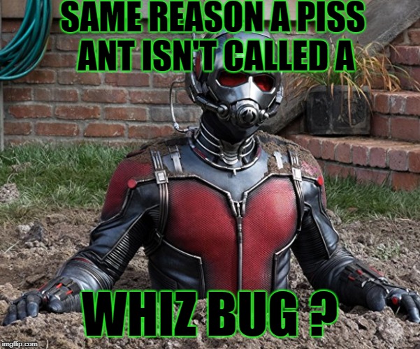 SAME REASON A PISS ANT ISN'T CALLED A WHIZ BUG ? | made w/ Imgflip meme maker