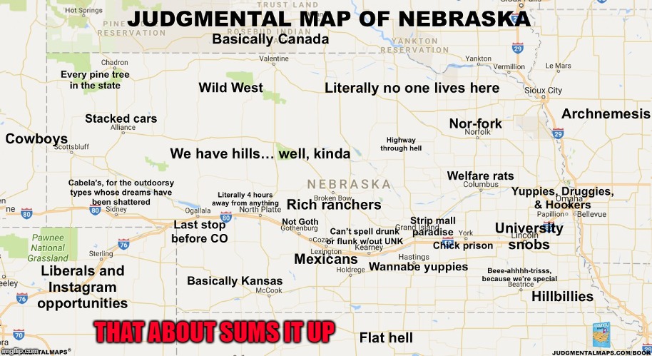 As a Nebraskan, I totally agree with this!!! What's your judgmental state? |  THAT ABOUT SUMS IT UP | image tagged in judgmental,memes,nebraska,funny,cornhuskers,raydog | made w/ Imgflip meme maker