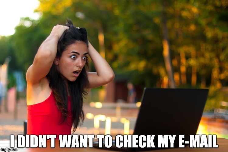 Laptop Girl | I DIDN'T WANT TO CHECK MY E-MAIL | image tagged in laptop girl | made w/ Imgflip meme maker