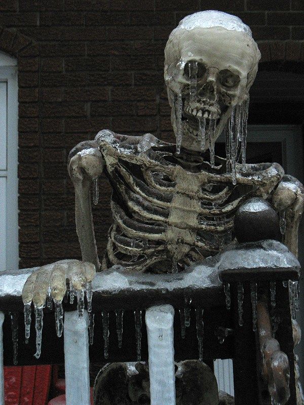 Winter Skeleton Blank Meme Template