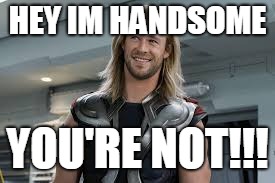 Im sooo handsome | HEY IM HANDSOME; YOU'RE NOT!!! | image tagged in sidda radford | made w/ Imgflip meme maker