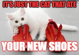 IT'S JUST THE CAT THAT ATE YOUR NEW SHOES | made w/ Imgflip meme maker