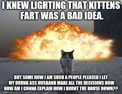 cat explosion | I KNEW LIGHTING THAT KITTENS FART WAS A BAD IDEA. BUT SOME HOW I AM SUCH A PEOPLE PLEASER I LET MY DRUNK ASS HUSBAND MAKE ALL THE DECISIONS NOW HOW AM I GONNA EXPLAIN HOW I BURNT THE HOUSE DOWN?? | image tagged in cat explosion | made w/ Imgflip meme maker