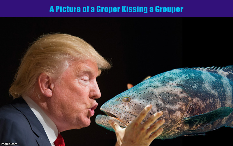 A Picture of a Groper Kissing a Grouper | image tagged in donald trump,sexual,funny,memes,groped,kiss | made w/ Imgflip meme maker