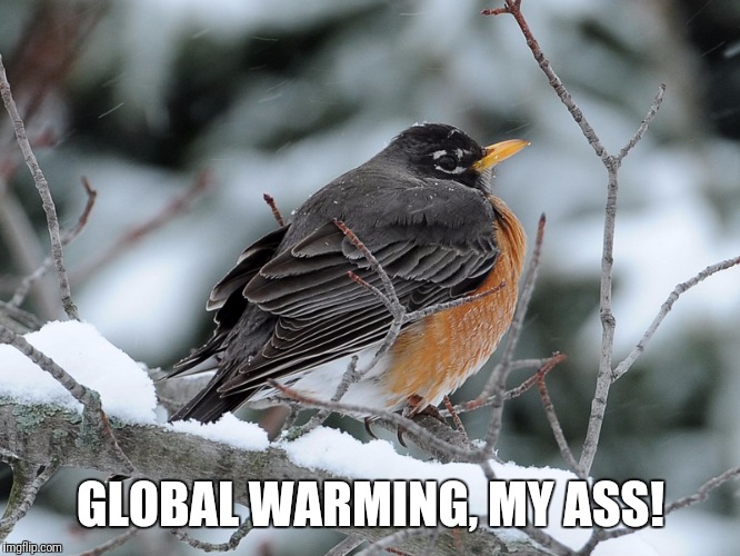 GLOBAL WARMING, MY ASS! | image tagged in global warming my ass | made w/ Imgflip meme maker