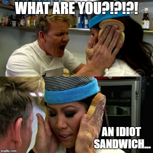 One of the reasons I watch Hell's Kitchen | WHAT ARE YOU?!?!?! AN IDIOT SANDWICH... | image tagged in gordon ramsay idiot sandwich | made w/ Imgflip meme maker