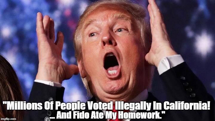 Trump Repeats Totally Unsubstantiated Claim That Millions Of People Voted Illegally In California | "Millions Of People Voted Illegally In California! ... And Fido Ate My Homework." | image tagged in deplorable donald,despicable donald,devious donald,detestable donald,dishonorable donald,whoremonger trump | made w/ Imgflip meme maker