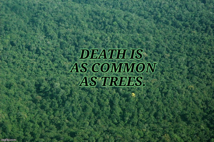 Death is as Common as Trees. | DEATH IS AS COMMON AS TREES. | image tagged in death,dead,dying,stephen king,trees,common sense | made w/ Imgflip meme maker