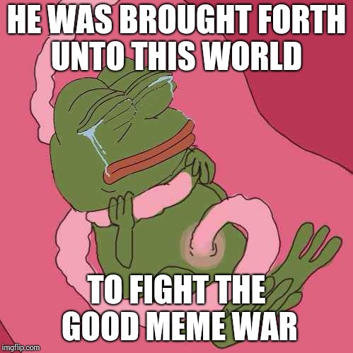 HE WAS BROUGHT FORTH UNTO THIS WORLD; TO FIGHT THE GOOD MEME WAR | image tagged in baby pepe | made w/ Imgflip meme maker