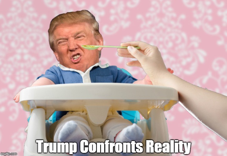 "Trump Confronts Reality"
 | Trump Confronts Reality | image tagged in deplorable donald,despicable donald,devious donald,detestable donald,dickhead donald,mafia don | made w/ Imgflip meme maker