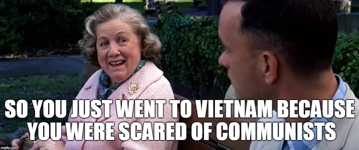 so you just | SO YOU JUST WENT TO VIETNAM BECAUSE YOU WERE SCARED OF COMMUNISTS | image tagged in so you just | made w/ Imgflip meme maker