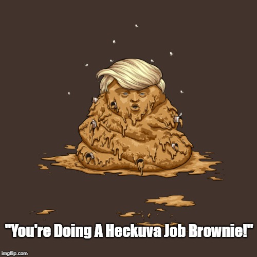 "You're Doing A Heckuva Job Brownie!" | "You're Doing A Heckuva Job Brownie!" | image tagged in deplorable donald,despicable donald,destestable donald,devious donald,dishonorable donald,damnable donald | made w/ Imgflip meme maker