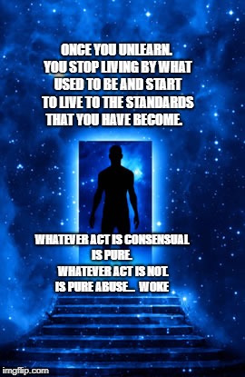 Door in Space | ONCE YOU UNLEARN. YOU STOP LIVING BY WHAT USED TO BE AND START TO LIVE TO THE STANDARDS THAT YOU HAVE BECOME. WHATEVER ACT IS CONSENSUAL IS PURE.  WHATEVER ACT IS NOT. IS PURE ABUSE...  WOKE | image tagged in door in space | made w/ Imgflip meme maker