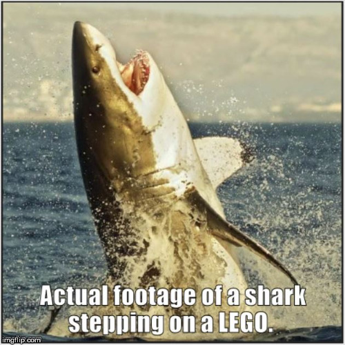 shark steps on a lego