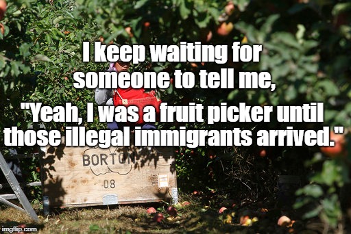 fruit picker | I keep waiting for someone to tell me, "Yeah, I was a fruit picker until; those illegal immigrants arrived." | image tagged in illegal immigration | made w/ Imgflip meme maker