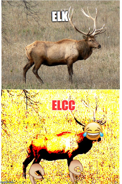 ELCC | ELK; ELCC | image tagged in politics,spongebob,squidward,patrick star,god | made w/ Imgflip meme maker