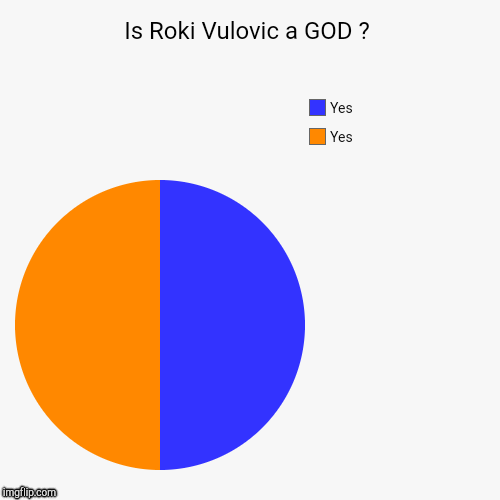 Is Roki Vulovic a GOD ? | Yes, Yes | image tagged in funny,pie charts | made w/ Imgflip chart maker