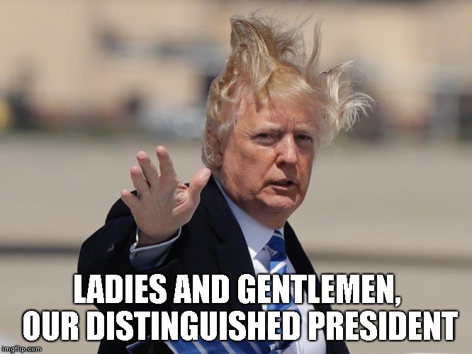 LADIES AND GENTLEMEN, OUR DISTINGUISHED PRESIDENT | image tagged in trump | made w/ Imgflip meme maker