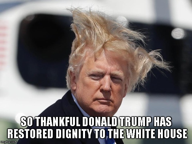 SO THANKFUL DONALD TRUMP HAS RESTORED DIGNITY TO THE WHITE HOUSE | image tagged in trump | made w/ Imgflip meme maker
