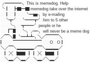 This is memedog | image tagged in discord | made w/ Imgflip meme maker