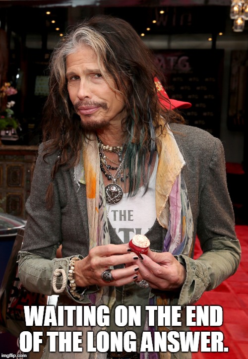 Steven Tyler | WAITING ON THE END OF THE LONG ANSWER. | image tagged in steven tyler | made w/ Imgflip meme maker